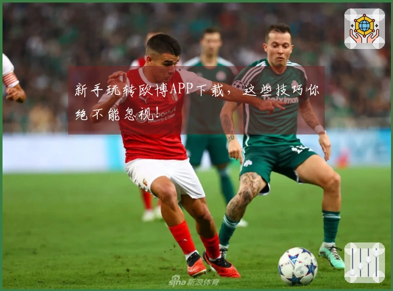新手玩转欧博APP下载，这些技巧你绝不能忽视！