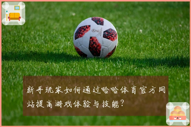 新手玩家如何通过哈哈体育官方网站提高游戏体验与技能？